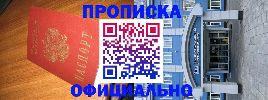 временная регистрация для школы в Мончегорске