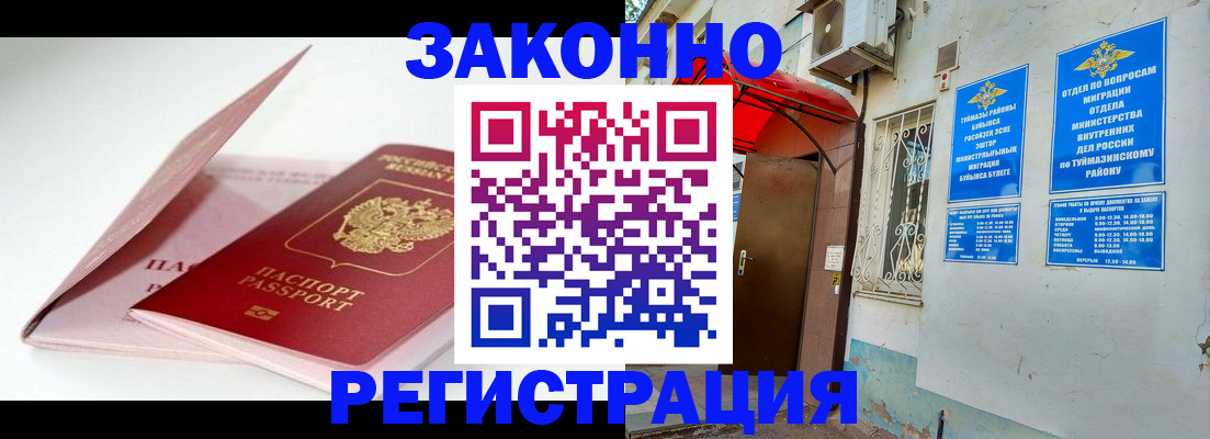 прописка гарантия в Мончегорске